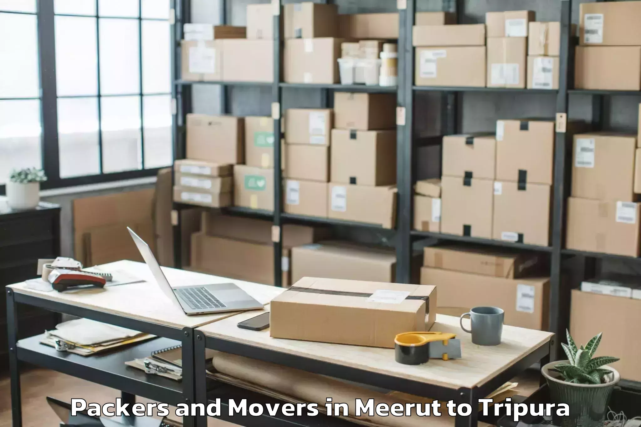 Professional Meerut to Teliamura Packers And Movers